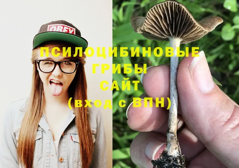 как найти   гидра ссылка  Галлюциногенные грибы Magic Shrooms  Беломорск 